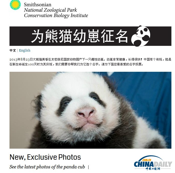 美國:旅美大熊貓誕下幼崽 動物園為其全球征名(組圖)