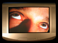 Reality TV 真實電視