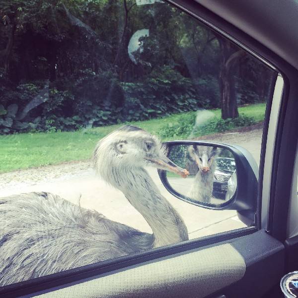 看到玻璃就想照鏡子？