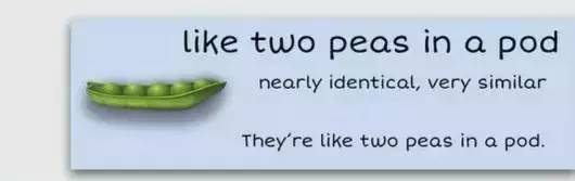 萌你一臉的生活常用諺語！