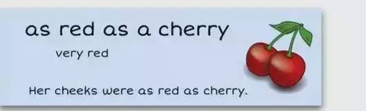 萌你一臉的生活常用諺語！