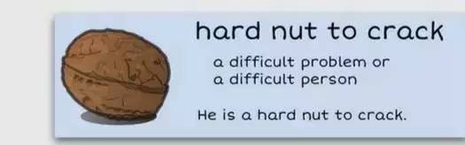 萌你一臉的生活常用諺語！