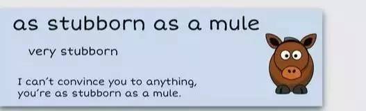 萌你一臉的生活常用諺語！