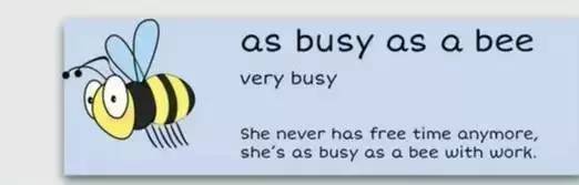 萌你一臉的生活常用諺語！