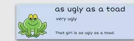 萌你一臉的生活常用諺語！