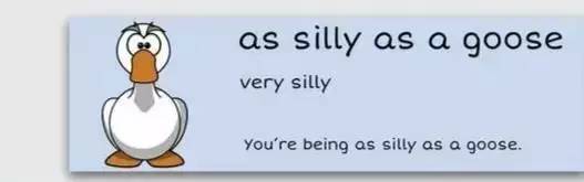 萌你一臉的生活常用諺語！