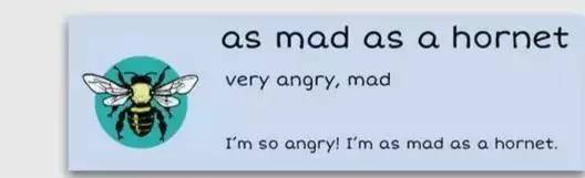 萌你一臉的生活常用諺語！