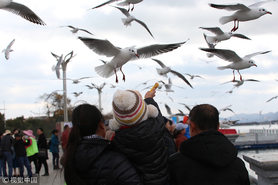 春節(jié)不知道去哪玩？國內(nèi)十大熱門城市走起?。ńM圖）