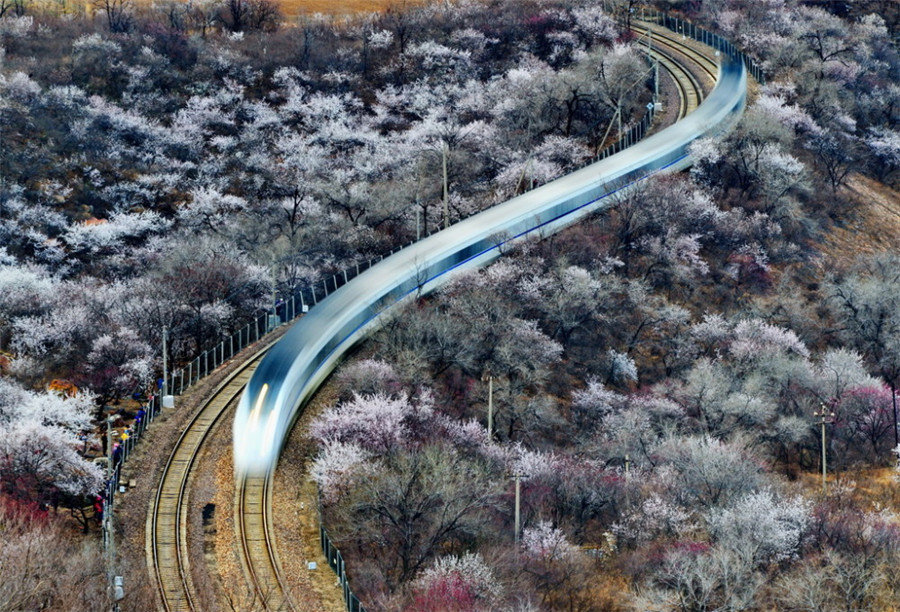 如詩如畫：“美麗中國·夢(mèng)想中國”攝影大賽優(yōu)秀作品欣賞（組圖）