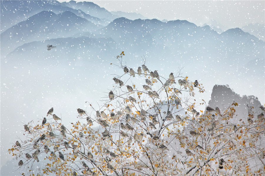 如詩(shī)如畫：“美麗中國(guó)·夢(mèng)想中國(guó)”攝影大賽優(yōu)秀作品欣賞（組圖）