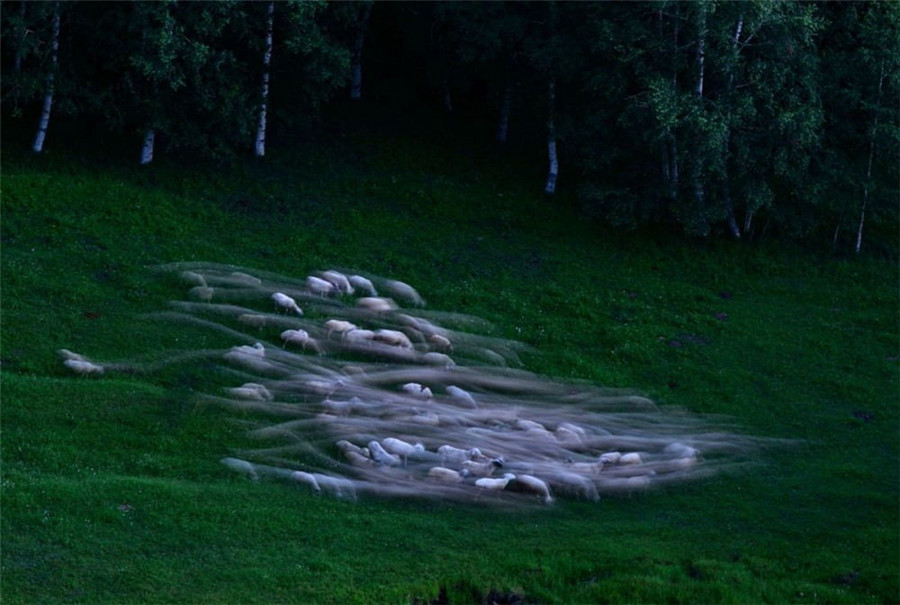 如詩如畫：“美麗中國·夢(mèng)想中國”攝影大賽優(yōu)秀作品欣賞（組圖）