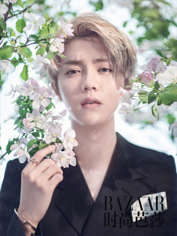 和春天合影：明星告訴你怎樣才是正確的打開(kāi)方式（組圖）