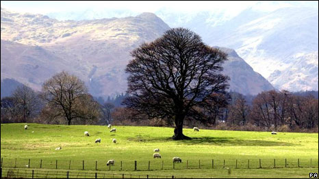 The British Countryside 音畫(huà)英國(guó)：動(dòng)物音樂(lè)會(huì)