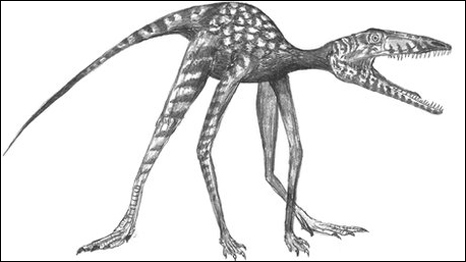 Oldest Dinosaur Fossils Found 恐龍化石新發(fā)現