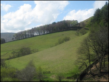The British Countryside 英國(guó)的鄉(xiāng)村