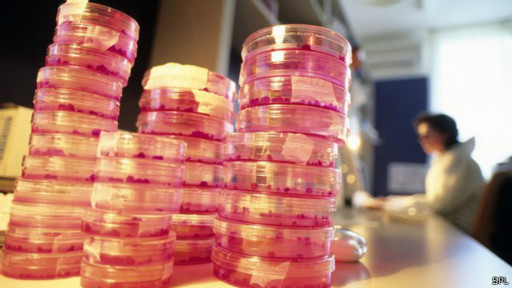 經(jīng)合組織：聰明缺信心 女孩怵科學