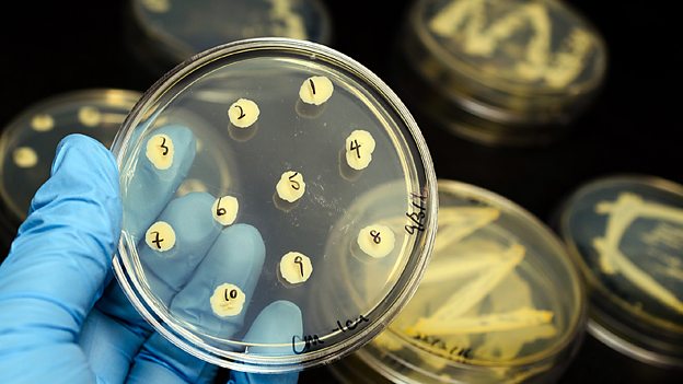 Man vs bacteria 人類對(duì)抗細(xì)菌