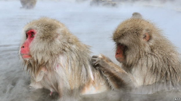 You scratch my back 你幫我，我助你