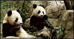 Verb + preposition 常用動(dòng)介搭配