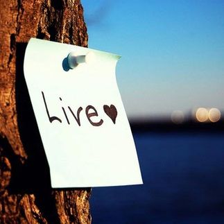 Purpose in life 如何找到人生目標(biāo)？