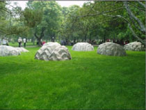 星星掉到地上來？