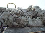 石頭也能“敗家”？