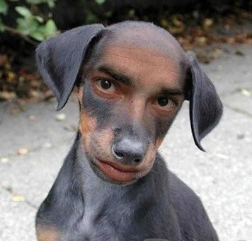 笑話究竟為什么好笑？