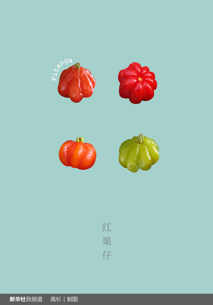 “瘋狂水果城”里約：給你點(diǎn)顏色瞧瞧！