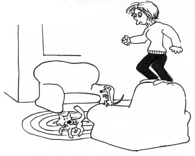 老鼠、鼠夾和我