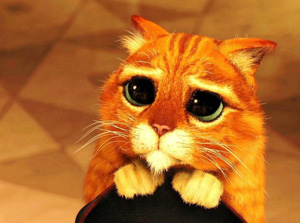 “賣萌”英文怎么說？