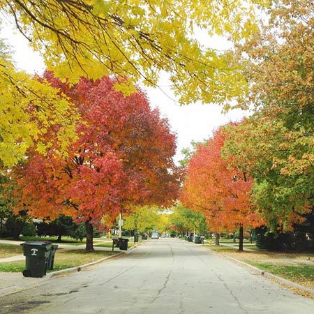 你熟悉你的“上班街區(qū)”嗎？