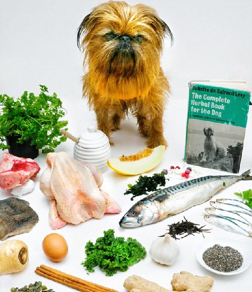 英國(guó)開首家狗狗“游擊餐廳”