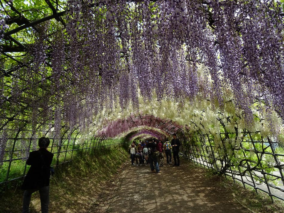 繽紛、靈動、斑斕：世界上最美的18座花園