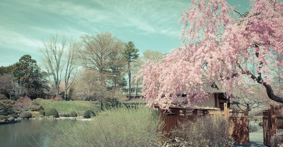 繽紛、靈動(dòng)、斑斕：世界上最美的18座花園