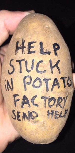 今年過(guò)節(jié)不送卡，送土豆！