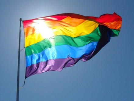 全美同性婚姻合法：與gay相關的表達