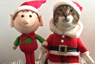 2015圣誕節(jié)專題：圣誕老人來(lái)了！