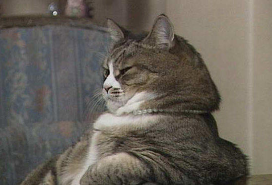 有了這個(gè)表，情緒表達(dá)不再難