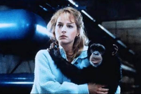 新春大吉：雙語(yǔ)聊猴年