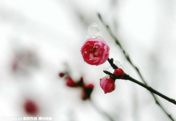 “立春”九大風(fēng)俗 雞蛋為啥能立起來？