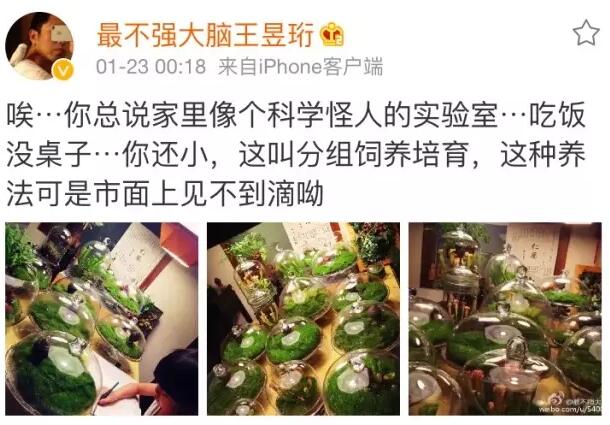 像最強(qiáng)大腦“水哥”這樣的神級人物，要用怎樣的英文詞來形容