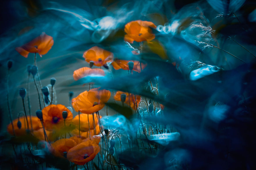 夢(mèng)幻之美：把大自然拍成仙境（組圖）