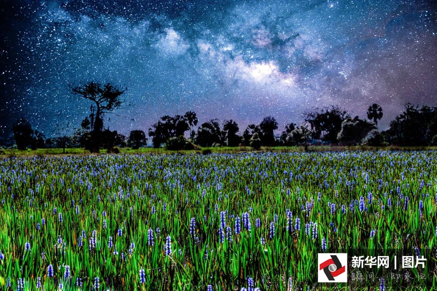 攝影師捕捉美國(guó)各地絕美銀河夜景 熠熠星空令人沉醉（組圖）