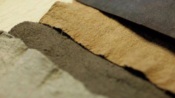 時尚新寵：菠蘿葉做成的皮革