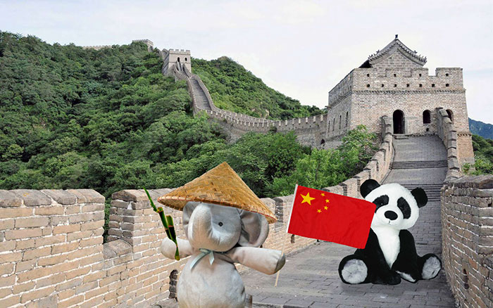 寶貝，你的小象不是丟了，而是去環(huán)游世界了（組圖）
