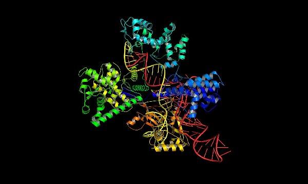 中國科學(xué)家將啟動“基因編輯”技術(shù)人體試驗
