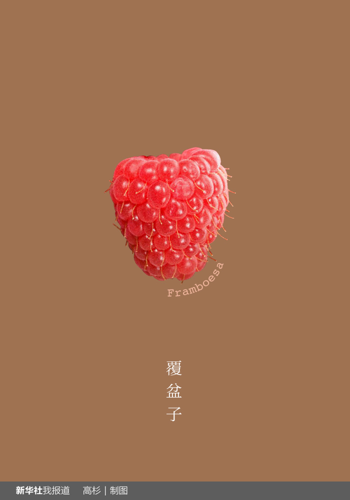 “瘋狂水果城”里約：給你點(diǎn)顏色瞧瞧！