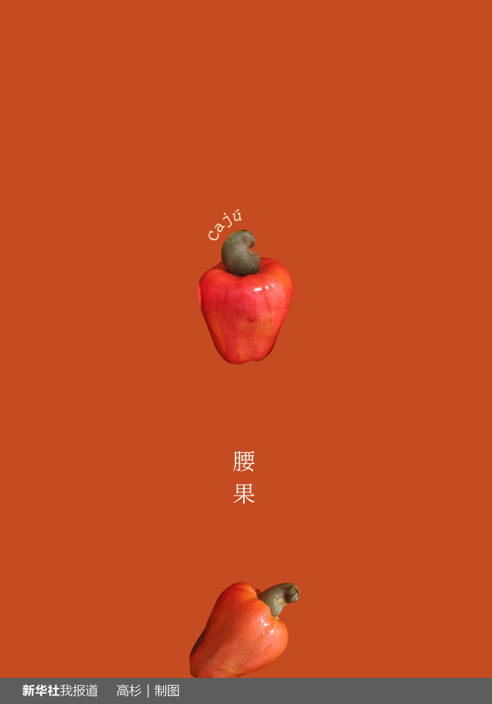 “瘋狂水果城”里約：給你點(diǎn)顏色瞧瞧！