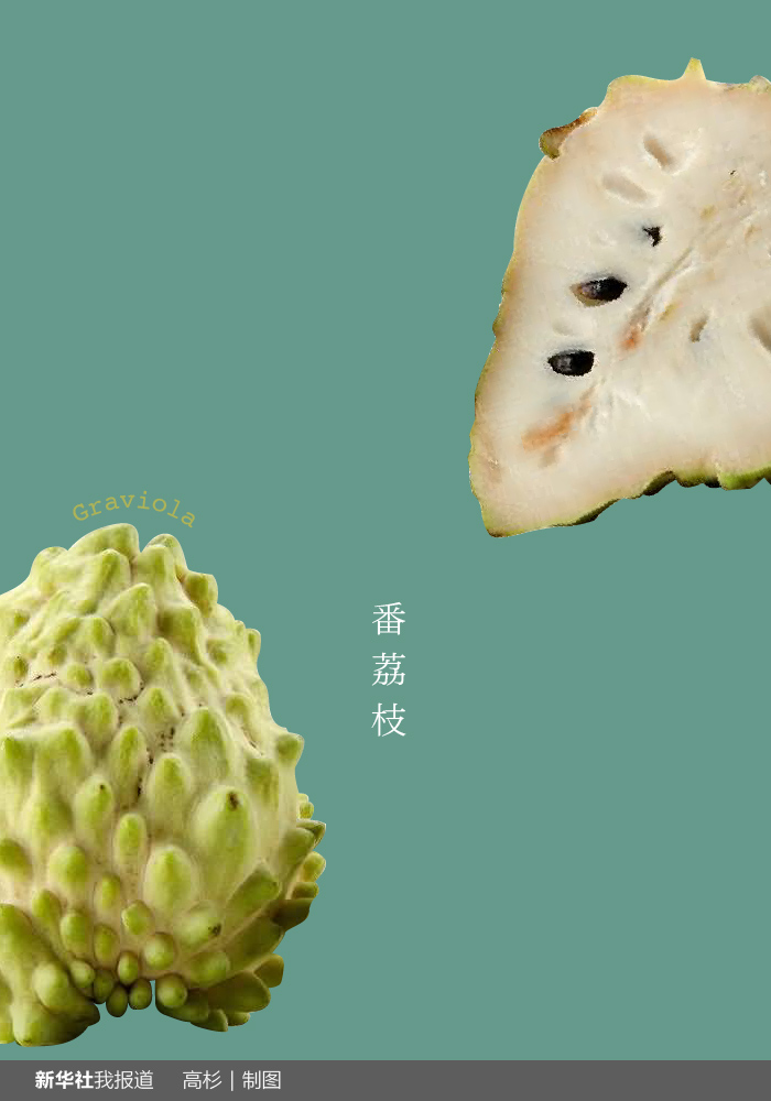 “瘋狂水果城”里約：給你點顏色瞧瞧！