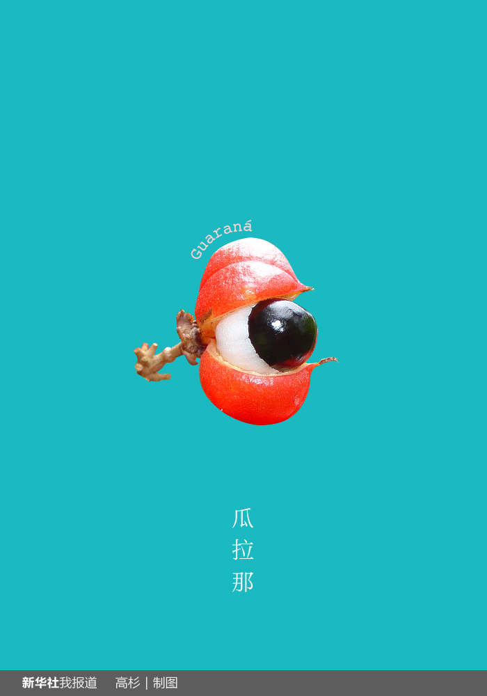 “瘋狂水果城”里約：給你點顏色瞧瞧！